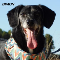BIMON
