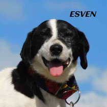 ESVEN
