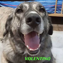 VALENTINA