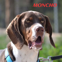 MONCHO