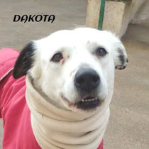 DAKOTA