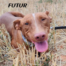 FUTUR