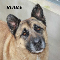 ROBLE
