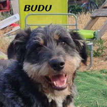 BUDU