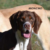 MONCHO