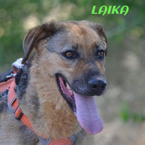LAIKA