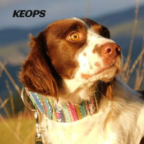 KEOPS