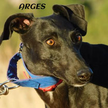 ARGES