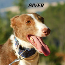 SIVER
