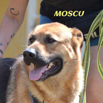 MOSCU