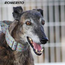 ROMERITO