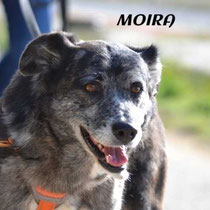 MOIRA