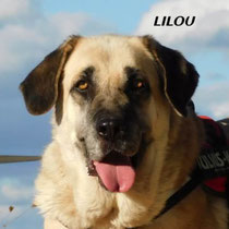 LILOU