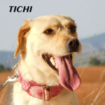 TICHI