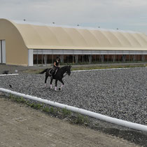 Aussenplatz mit Allweterboden ASground immer zu reiten