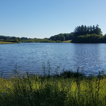 Etang de Sivergnat - Saint-Bonnet-Briance