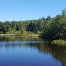 Etang de Vallégeas - Sauviat-sur-Vige et Moissannes