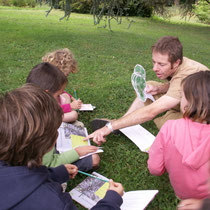 Atelier Parc Jane Limousin à Châteauneuf-la-Forêt : résultat de la chasse aux arbres par l'identification des essences présentes et de leurs caractéristiques