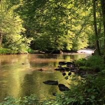 Gorges de la Vienne - Eymoutiers