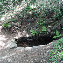 Fontaine du Buisson Blanc - Mont Gargan (Saint-Gilles-les-Forêts)