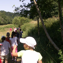 Balade Quenouille & le Chemin des Poètes (Peyrat-le-Château) : randonnée dans la forêt...