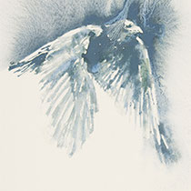 Série Envol, Envol VI, 75x45cm