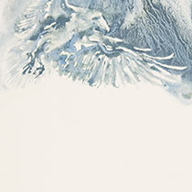 Série Envol, Envol VII, 75x45cm
