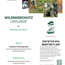 Regenwald Schutzaktion Urkunde 4