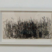 © Joana Bruessow, l'herbs IV,V,VI, 12" x 12", ink on paper, 2012
