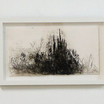 © Joana Bruessow, l'herbs I,II,III, 12" x 12", ink on paper, 2012