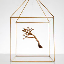 Mara Gessi, Albero