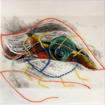 Milena Pedrollo, Insetto, 2010, tecnica mista, acrilico e stampa digitale su acetato cucita e incollata su tela, 30x30 cm