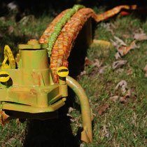 Paolo Lo Giudice, Iguana cornuta