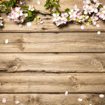 05 Holzbalken mit Kirschblüten (Hochwertiger B1, Stoff gesäumt) = 25 EUR - B230xH230cm