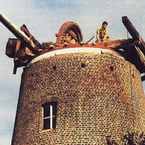 Deze omvatte voornamelijk het gevlucht, de staart en de kap. 