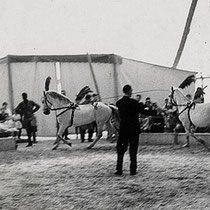 Circus Renz