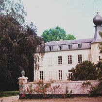 Hoewel in 1356 al sprake is van een heer van Reymersbeek,  dateert het kasteel uit de 16de eeuw