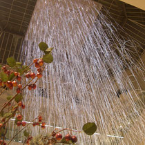Galeries Lafayette Maison Toulouse