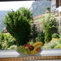 Garten mit Bergblick