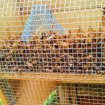 長野式スズメバチ捕獲器