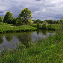 Foto 03 auf Platz 8 mit 139 Pkt.   -   Landschaft Moorgürtel   -   Fotograf:   Hans Dieckmeyer