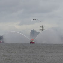 Branddirektor Westphal - Ort: Elbe - Foto: Gesine Schwerdtfeger
