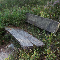 Platz im GGrünen - Foto: Volker Svensson