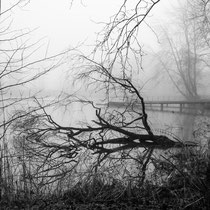 6. Platz 162 Pkt. - Nebel am Kuckucksteich - Foto: Gesche Andresen