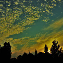 Abendstimmung in Wellingsbüttel - Foto: Lothar Boje