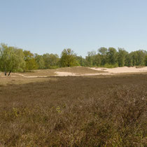 Foto: Jörg Recoschewitz