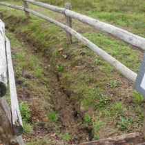 7. Platz 82 Pkt. - Demonstration eines Moorstreifens,  der 80cm tief sein soll, ohne Wasser - Foto: Gesine Schwerdtfeger