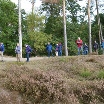 Fischbeker Heide - Foto: Michael Wohl-Iffland