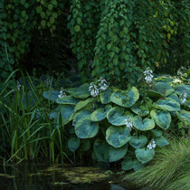 Foto: Gesche Andresen
