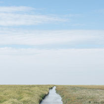 Hamburger Hallig - Foto: Gesche Andresen